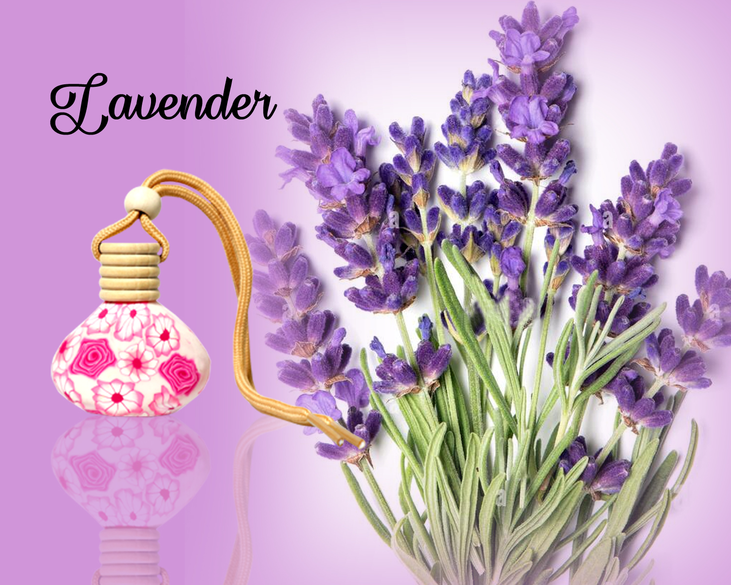 lavender